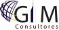 GIM CONSULTORES